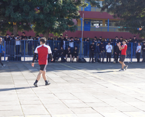 DSC09654