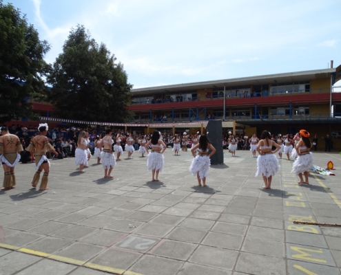 DSC03551